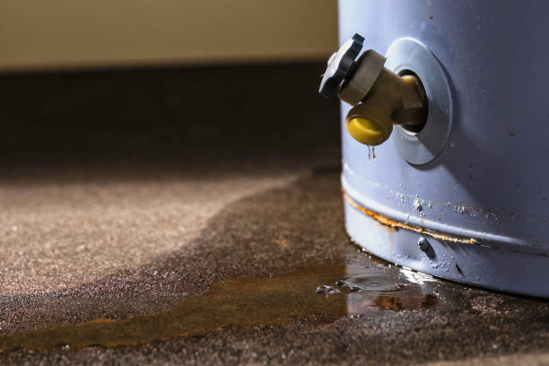 Best Water damage contractors near me  in Loris, SC