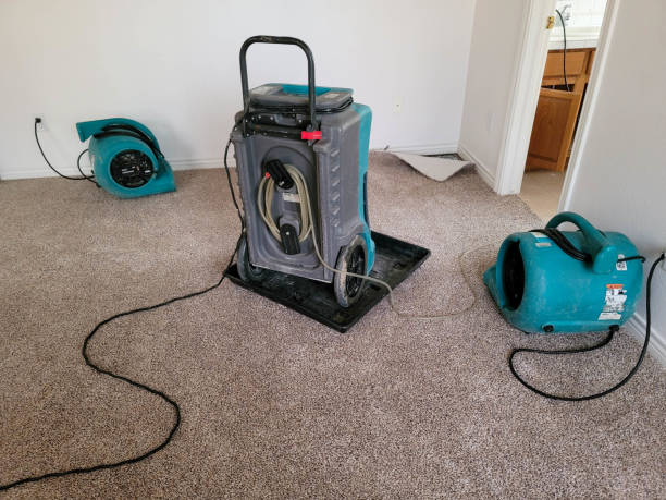 Best Professional water damage repair  in Loris, SC