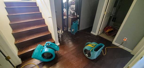Best Fire Damage Restoration  in Loris, SC