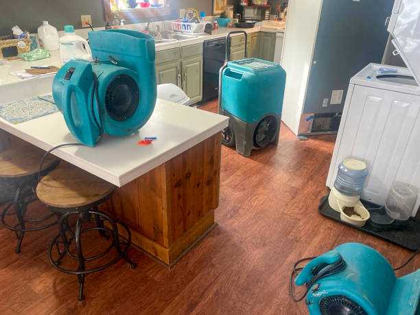 Best Ceiling water damage repair  in Loris, SC