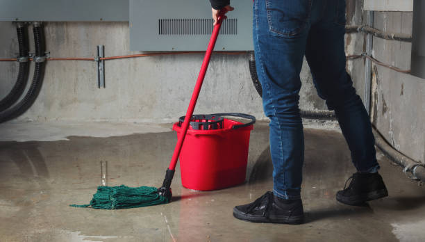 Best Sewage cleanup and water damage restoration  in Loris, SC