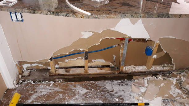 Best 24/7 water damage repair  in Loris, SC