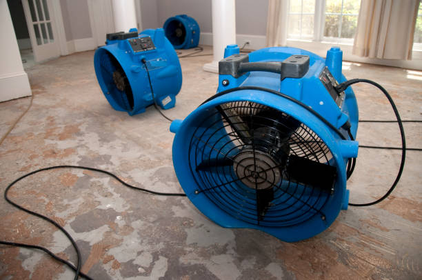 Best Flooded house restoration  in Loris, SC