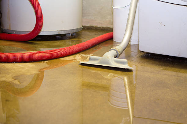Best Basement water damage restoration  in Loris, SC