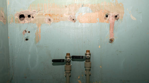 Water damage restoration mold remediation in SC