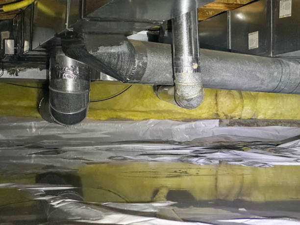 Best Water damage restoration mold remediation  in Loris, SC