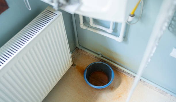 Best Water damage restoration near me  in Loris, SC