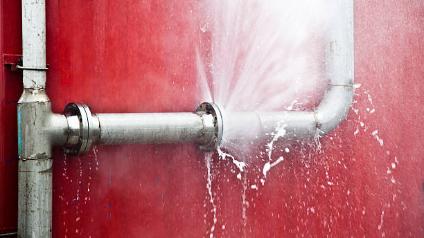 Best 24/7 water damage repair  in Loris, SC